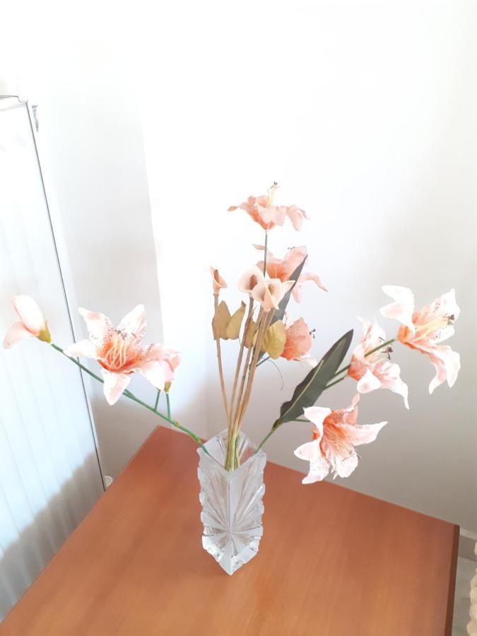 Asteris Appartment Thermi Ngoại thất bức ảnh
